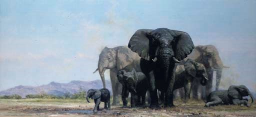 A herd of elephants at a watering hole