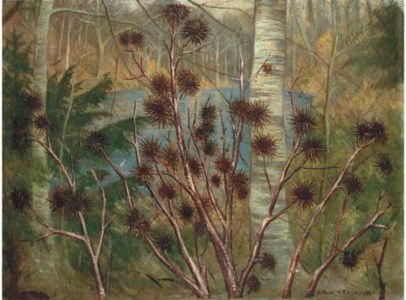 Wooded landscape