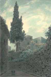 Cypress in the Garden of the Franciscans at Salerno, Italy