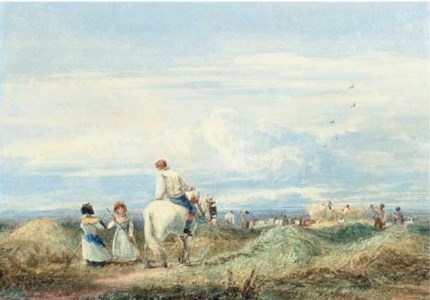 In the hayfield