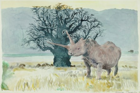 Rhino