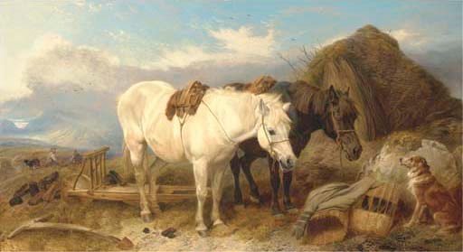 Peat gathering