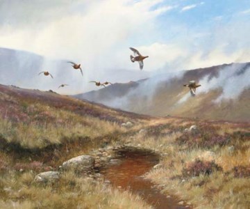 Grouse Moor, Glen Almond. Perthshire
