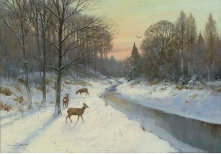 Roe Deer, Thetford Forest