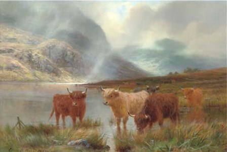 A passing shower