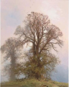English Oaks