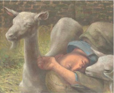 Sleeping Lambs
