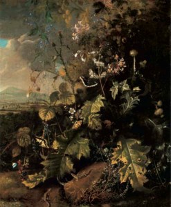 A forest floor with butterflies and lizards
