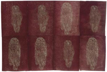 Untitled (Owls)