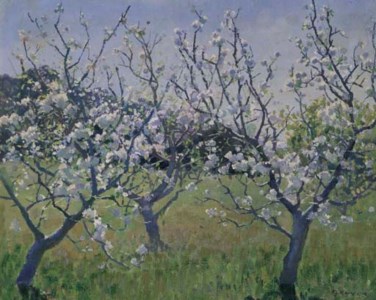 Spring in the orchard
