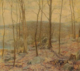 Wooded Landscape