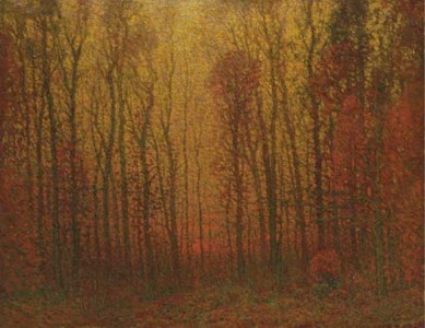Sunset Through the Woods
