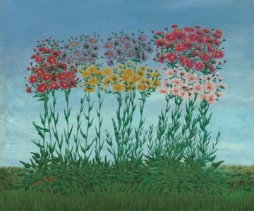 Les marguerites