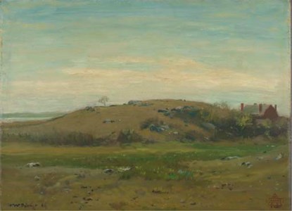 A rocky meadow