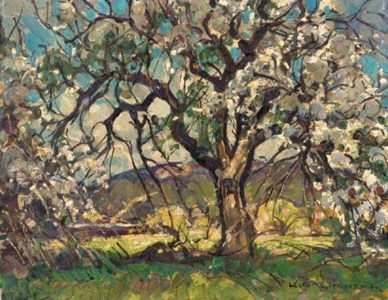Trees in bloom
