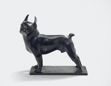 Boston-Terrier or Toy