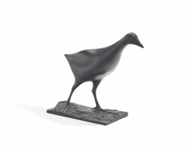 Poule d'eau