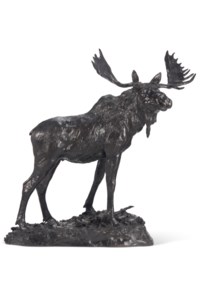 Bull Moose