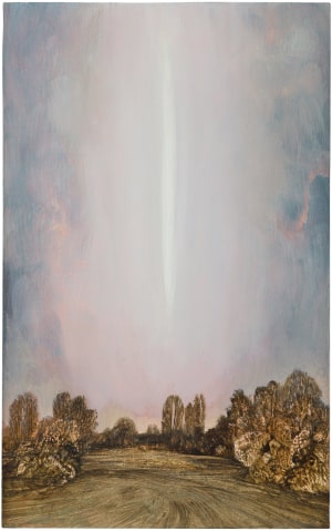 Phenomenon #41