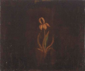 Untitled (Iris), 1988