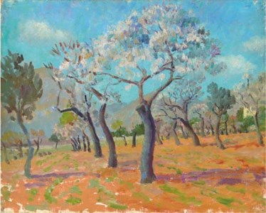 Majorcan Orchard in Spring