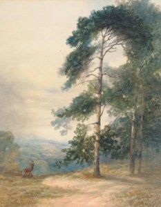 A stag and his herd scenting a disturbance