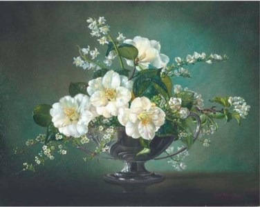 Camellias