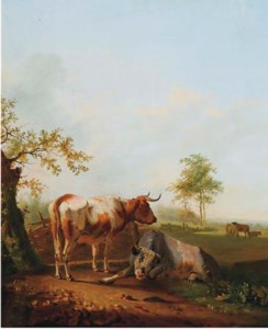 Cattle in a meadow