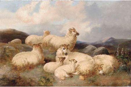 Sheep in a moorland landscape
