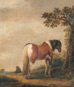 A horse in a landscape