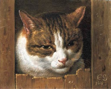 A cat peeping through a fence