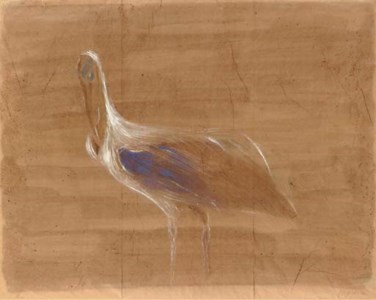 Ibis
