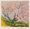 Silver Sky