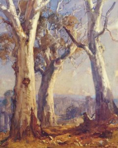 Gum Trees