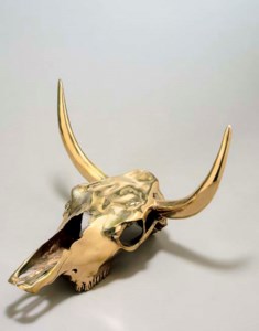 Steer Skull, Horned