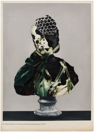 Untitled 49