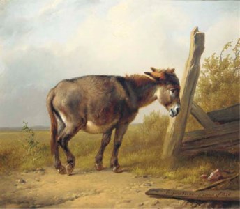 In the pasture