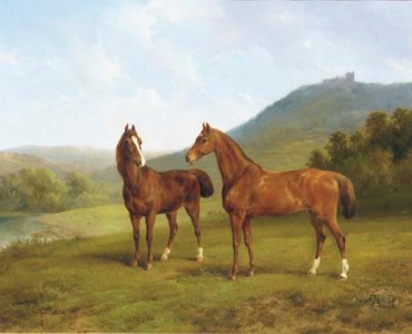 Horses in a valley