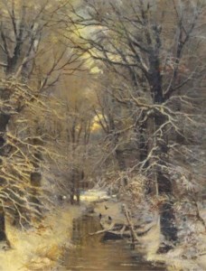 A stream in snow covered woods