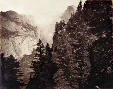 Tenaya Cañon from Union Point Valley of the Yosemite, No. 35, 1872