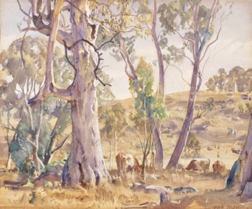 Landscape, Morning Light