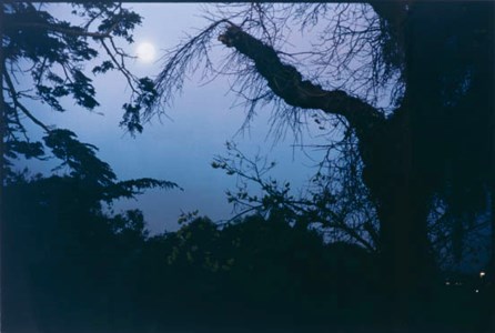 Untitled 1996/97