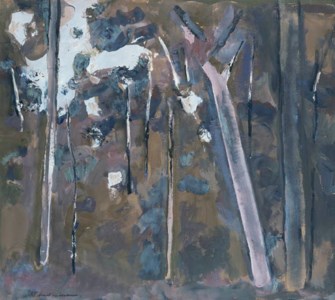 Forrest Landscape