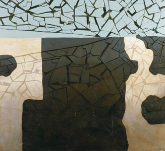 Netting and Shadows