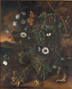 Thistles, brambles, poppies and other plants, with a bird's nest, a frog, a lizzard and butterflies, a mountainous sunset landscape beyond