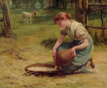 Milk for the Calves