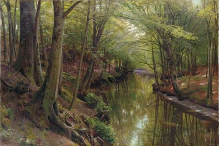 A Woodland Stream