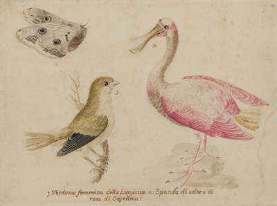 Italian,1589-1657