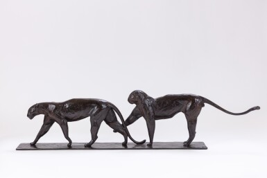 Deux léopards marchant, le mâle lève une patte