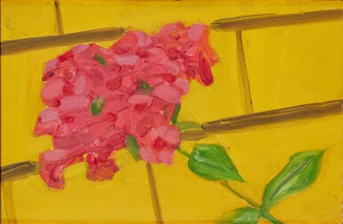 Red Phlox